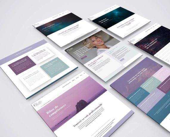 studio-poulette-projet-oreilly-consultants-2